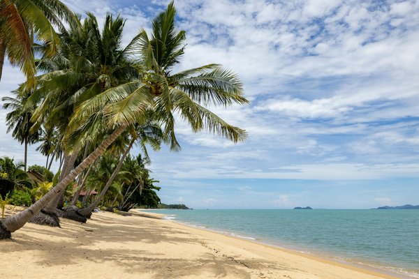 Les dispositifs d'aide pour le camping en Auvergne