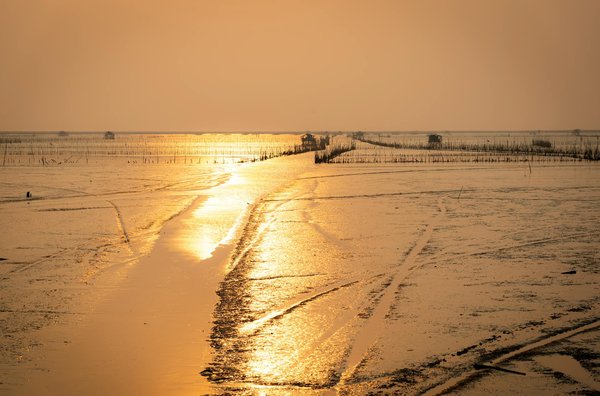 Séjournez au camping dordogne : confort et nature réunis